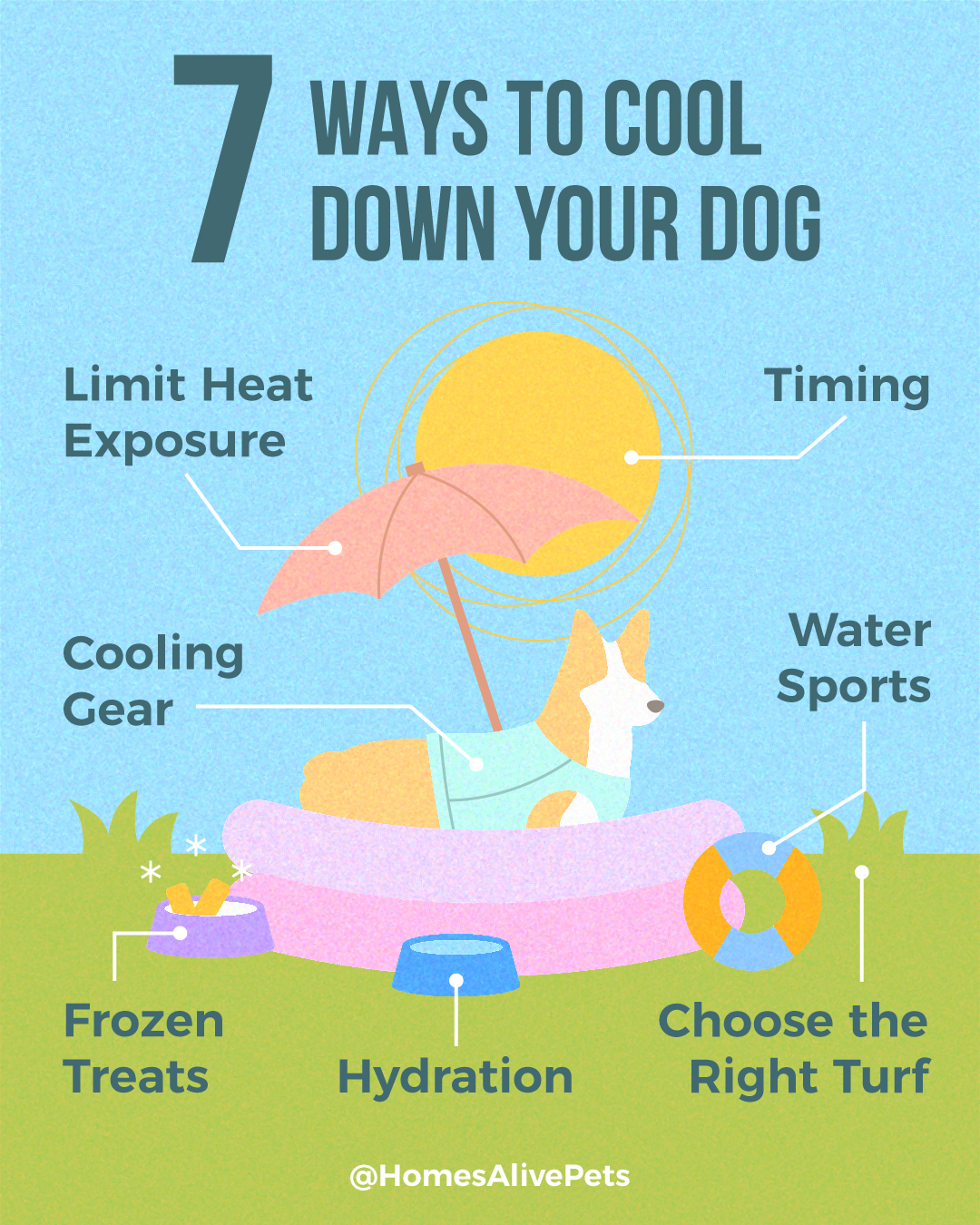 How to cool dogs down hot sale in summer